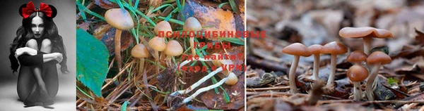 синтетический гашиш Гусиноозёрск