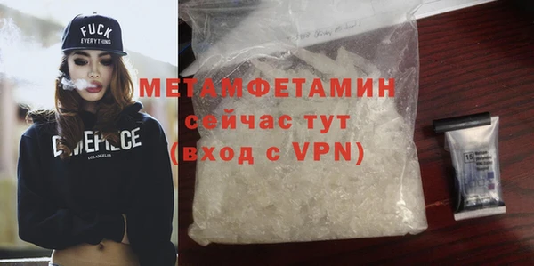 шишки Гусев