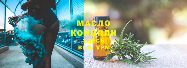 шишки Гусев