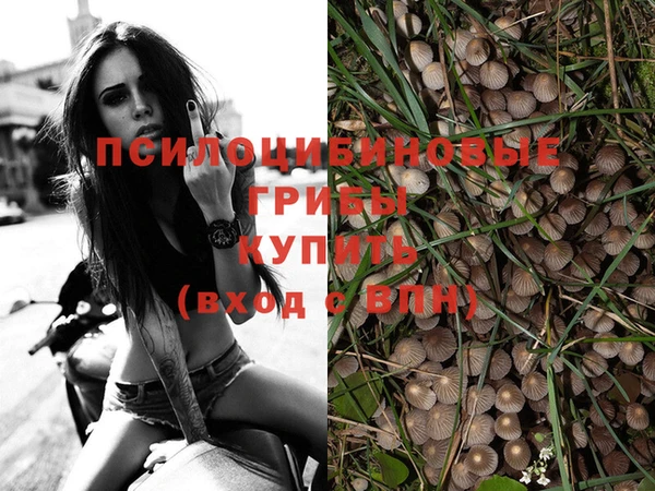 синтетический гашиш Гусиноозёрск