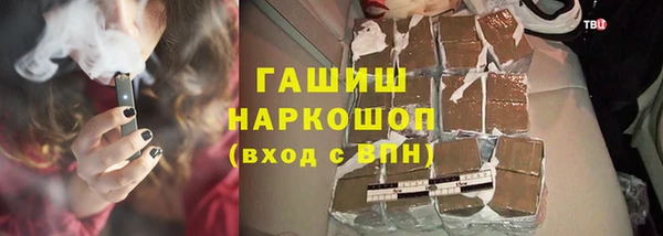 шишки Гусев