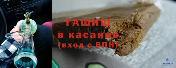 шишки Гусев