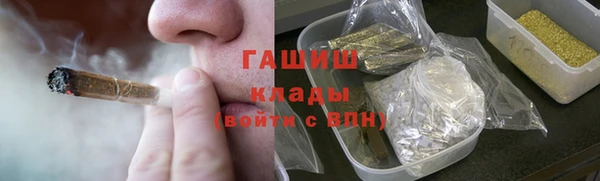 шишки Гусев