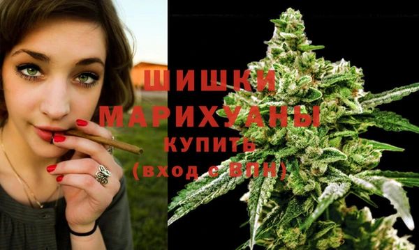 шишки Гусев
