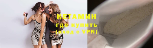шишки Гусев