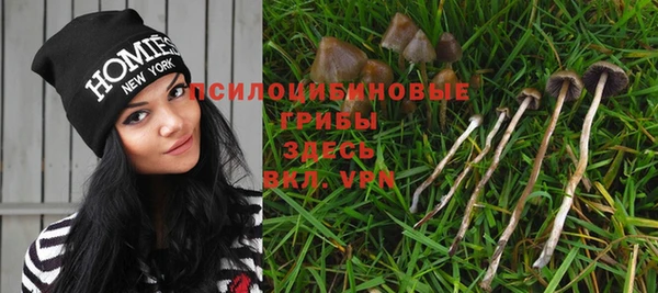 MESCALINE Гусь-Хрустальный