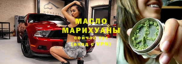 шишки Гусев