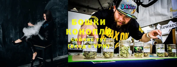 шишки Гусев