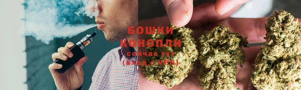 шишки Гусев
