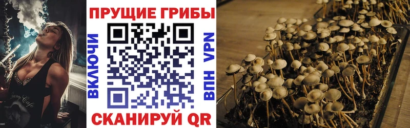 Псилоцибиновые грибы прущие грибы как найти закладки Макаров